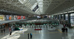 Ornitottero esposto al Terminal 1 dell aeroporto Leonardo da Vinci